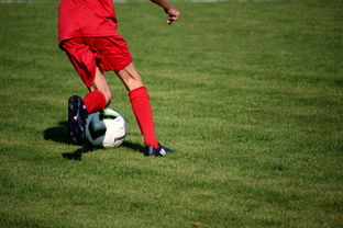 开云体育中国官网-鹈鹕青训体系被评为联盟样板项目，鹈鹕原来是哪个队